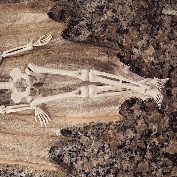 Halloween skeleton as pictured new 16 in skeleton with wings by the Gothic Colle - Picture 4 of 7